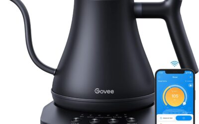 Best Electric Gooseneck Kettle Under $100 in 2026: 10 Precision Brewers