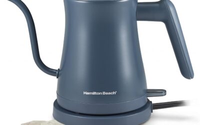 Best Electric Gooseneck Kettle Under $50: Value Picks
