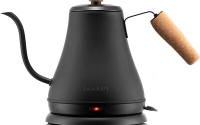Best Electric Gooseneck Kettle for Precise Temperature Control: 6 Picks for 2026