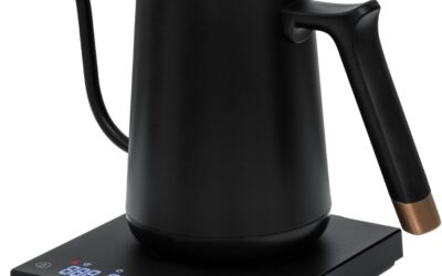 10 Options for the best electric gooseneck kettle under $150 in 2026