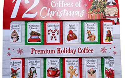 cold brew gift set christmas gift Picks We Recommend for Holiday Brewing in 2026